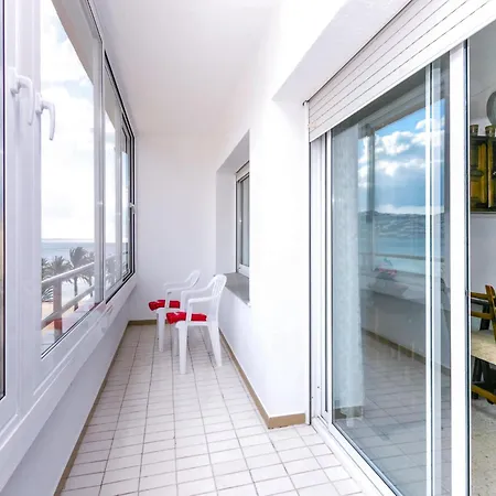 Center-19 By Interhome Roses